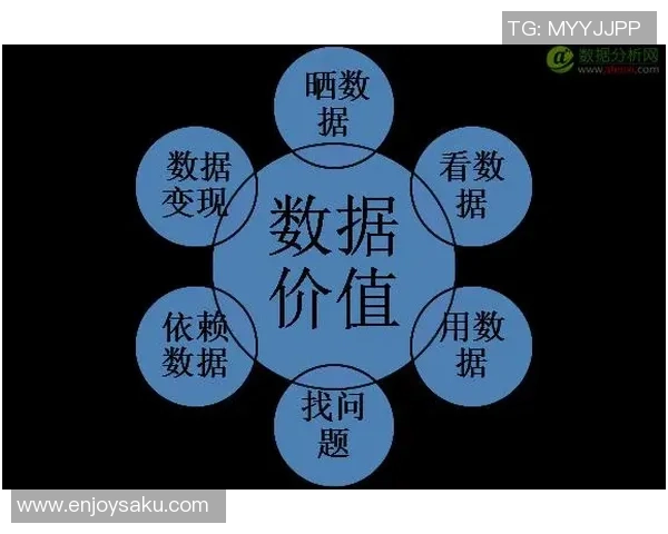 深入解析北京排球队近期状态与表现的全面数据分析报告